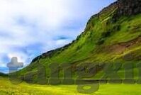 大象传媒app台湾-大象传媒APP，台湾文化传播的新窗口