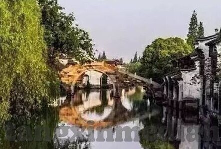 大象传媒 下载-大象传媒，数字时代的文化桥梁与内容下载新视角
