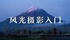 伦理宅宅-伦理宅宅，在虚拟与现实间寻找平衡的道德航标
