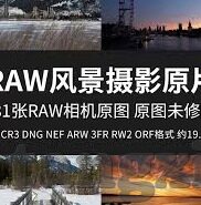 麻豆传媒女成员介绍-麻豆传媒女成员角色探析，超越浅表的多元解读