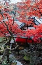 糖心app下载链接-探寻心动的瞬间，糖心APP的奇妙之旅
