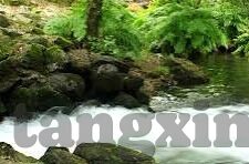 糖心官网入口-糖心之窗，洞见美好生活的甜蜜密码