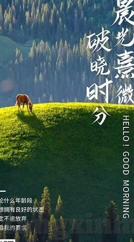 糖心vlog网址入口-解锁多彩生活，探索糖心Vlog的精彩世界